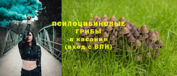 крисы Алексин