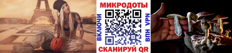 Галлюциногенные грибы Psilocybine cubensis  Невинномысск 